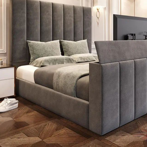 Designer Loma TV Bed